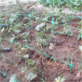 plant support trellis net for support agricultural